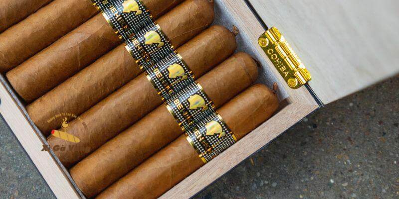 Behike nổi bật vì sử dụng lá Medio Tiempo, cho tầng vị phong phú hơn cả hai dòng kia.